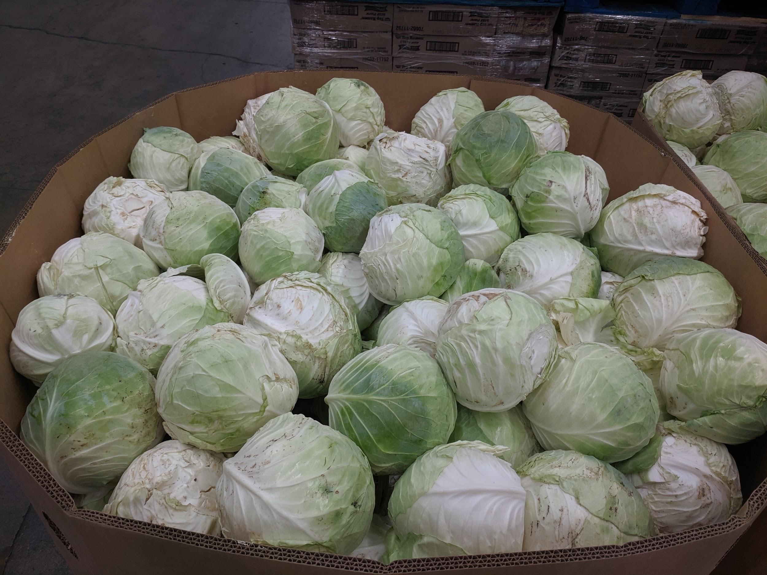 Cabbage_from_Dionisio_Farms